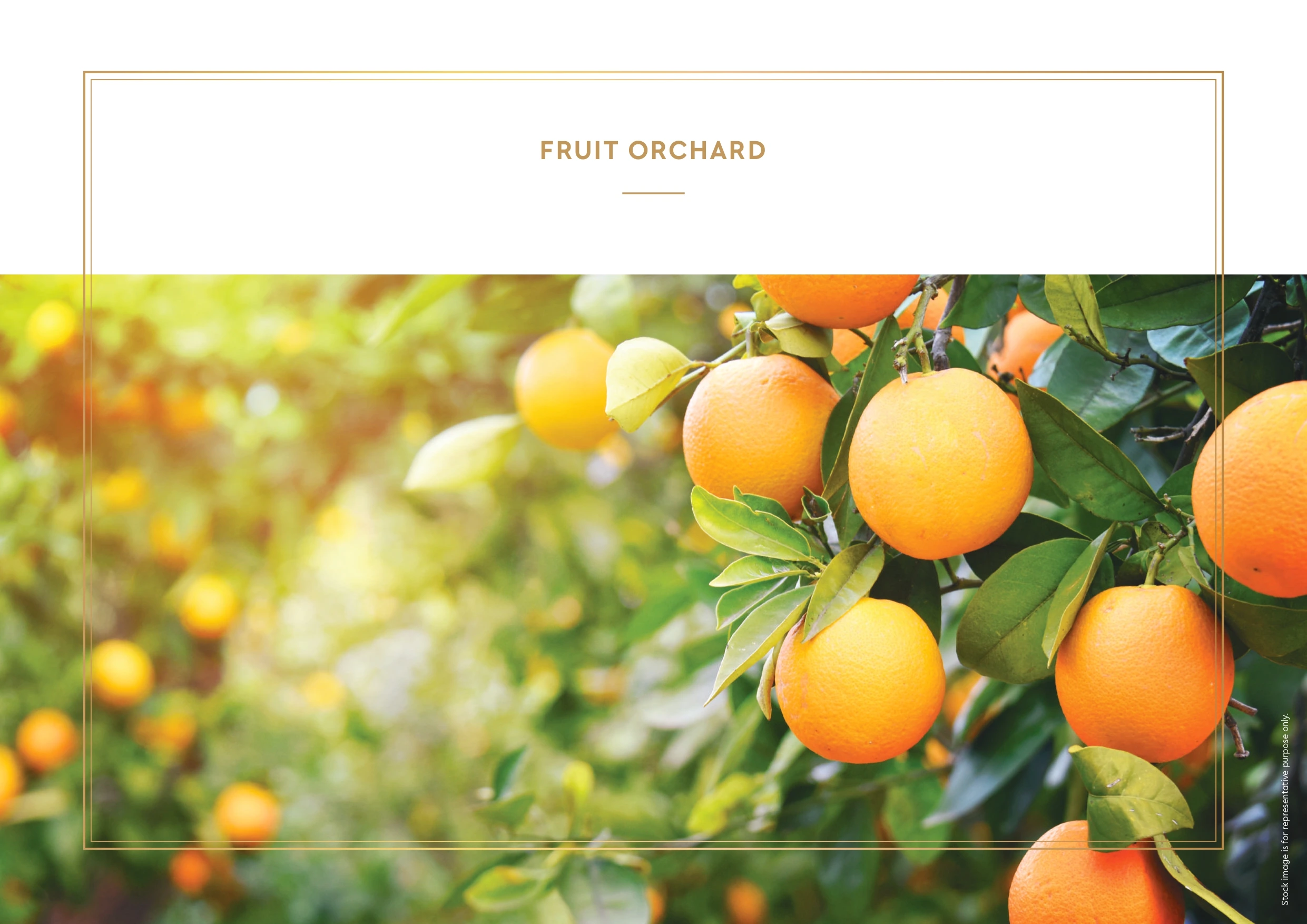 Godrej Forest Estate gallery